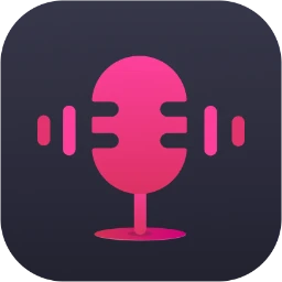 ViWizard Audio Capture